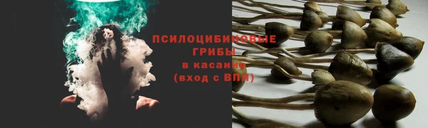 тгк Волосово